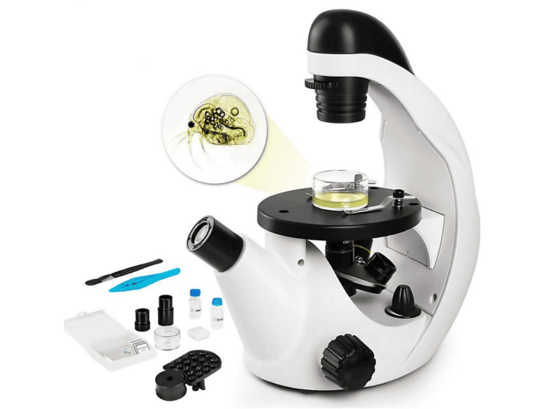 TELMU Microscope Mikroskop, Weiß