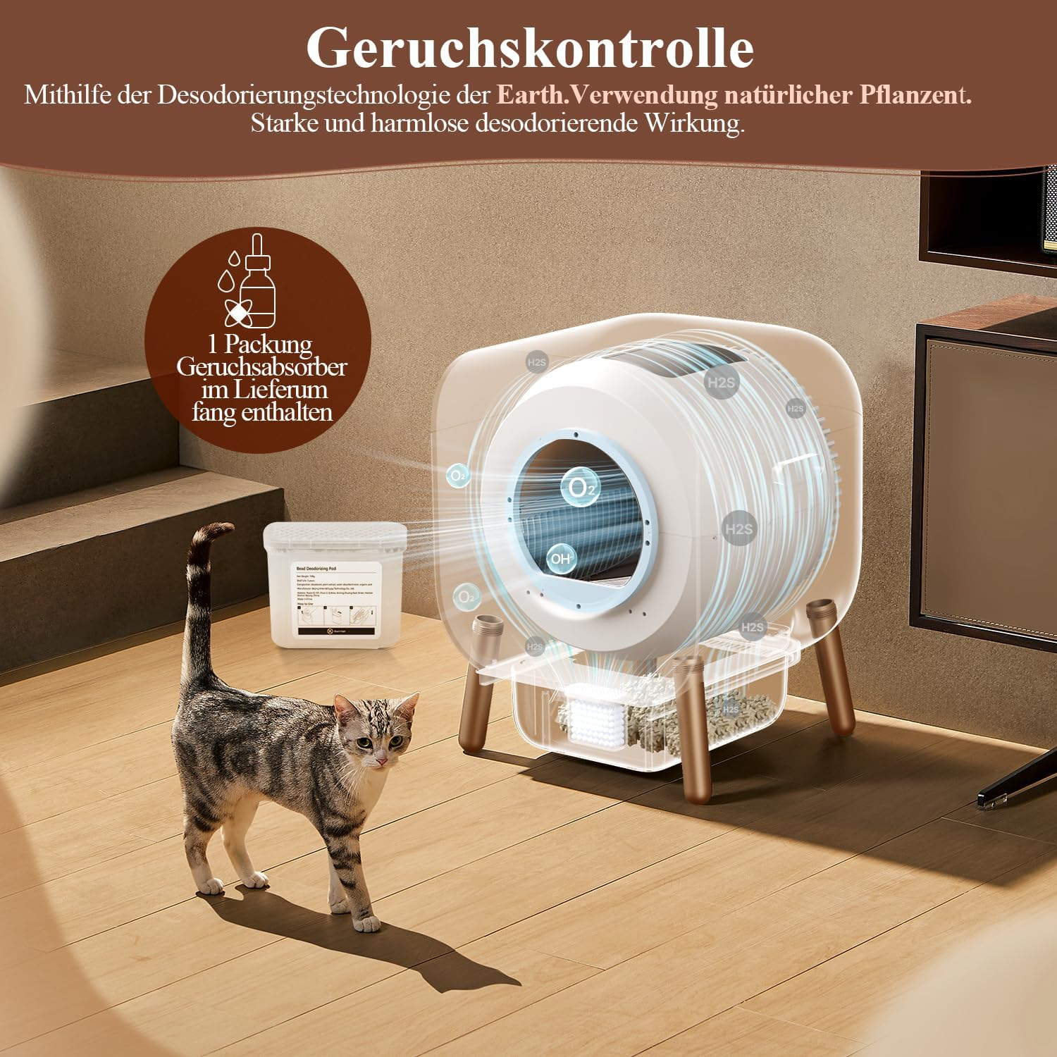 Eine Katze und eine weiße Box mit Etikett. Die Katze schaut auf die Box.