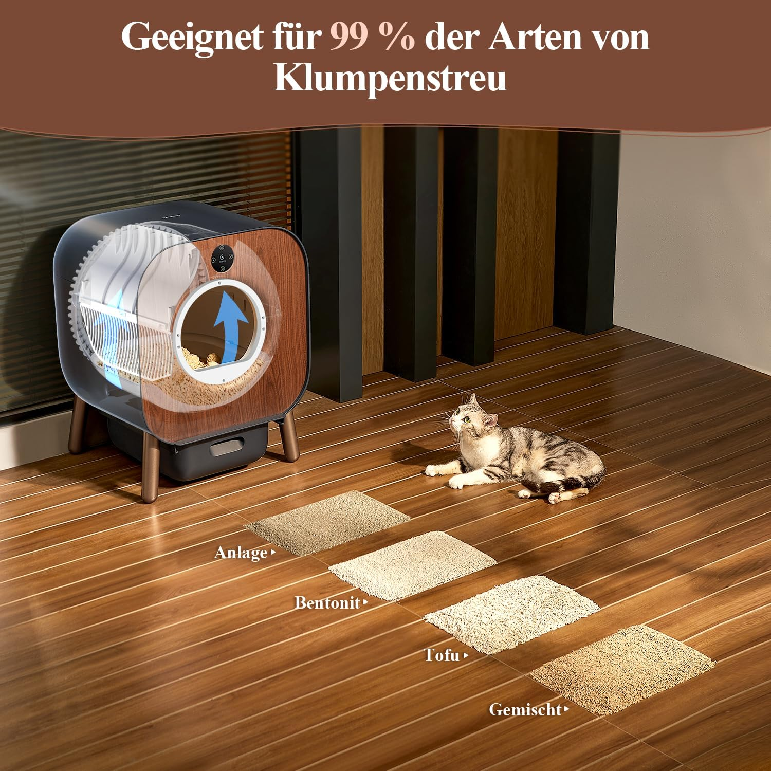 Eine Katze und eine Katzentoilette mit verschiedenen Streuarten auf einem Holzboden.
