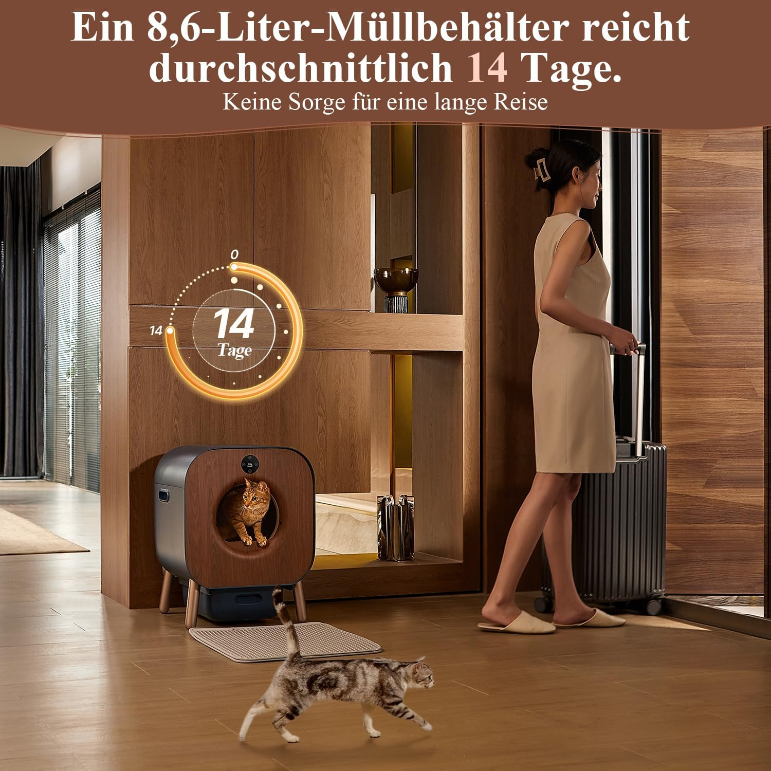Frau geht an einer Katzentoilette vorbei. Eine Katze und ein Timer sind sichtbar.