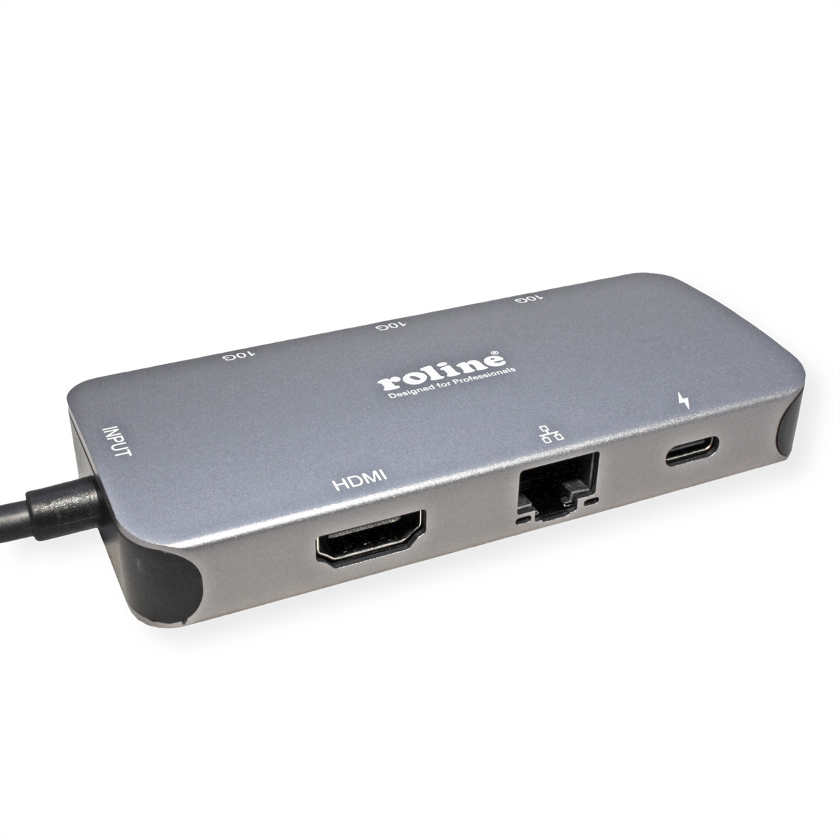 Un hub Roline grigio con più porte, tra cui HDMI ed Ethernet.