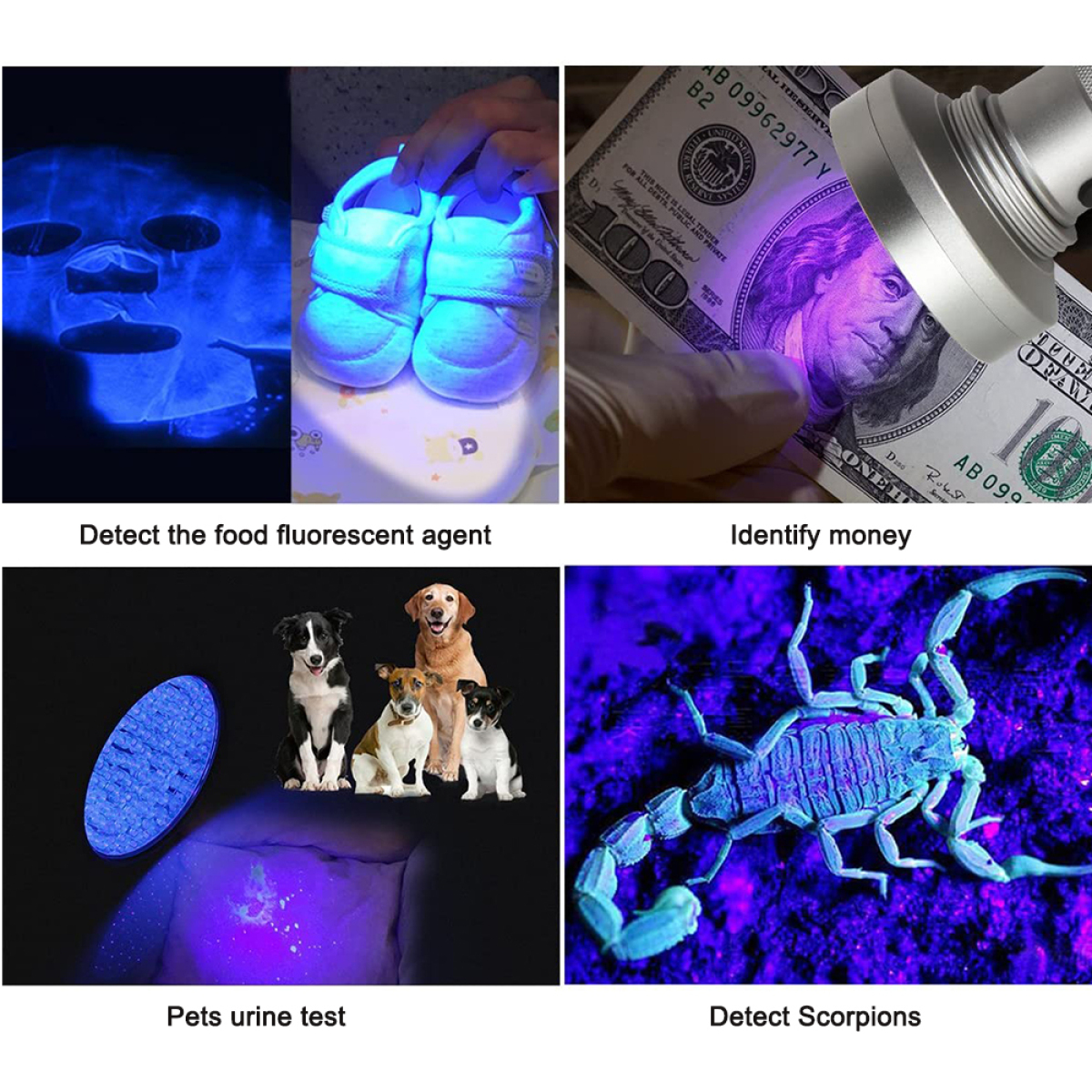 UV-Licht zur Erkennung: Lebensmittel-Fluoreszenzmittel, Geld, Haustierurin und Skorpione. Verschiedene Objekte gezeigt.
