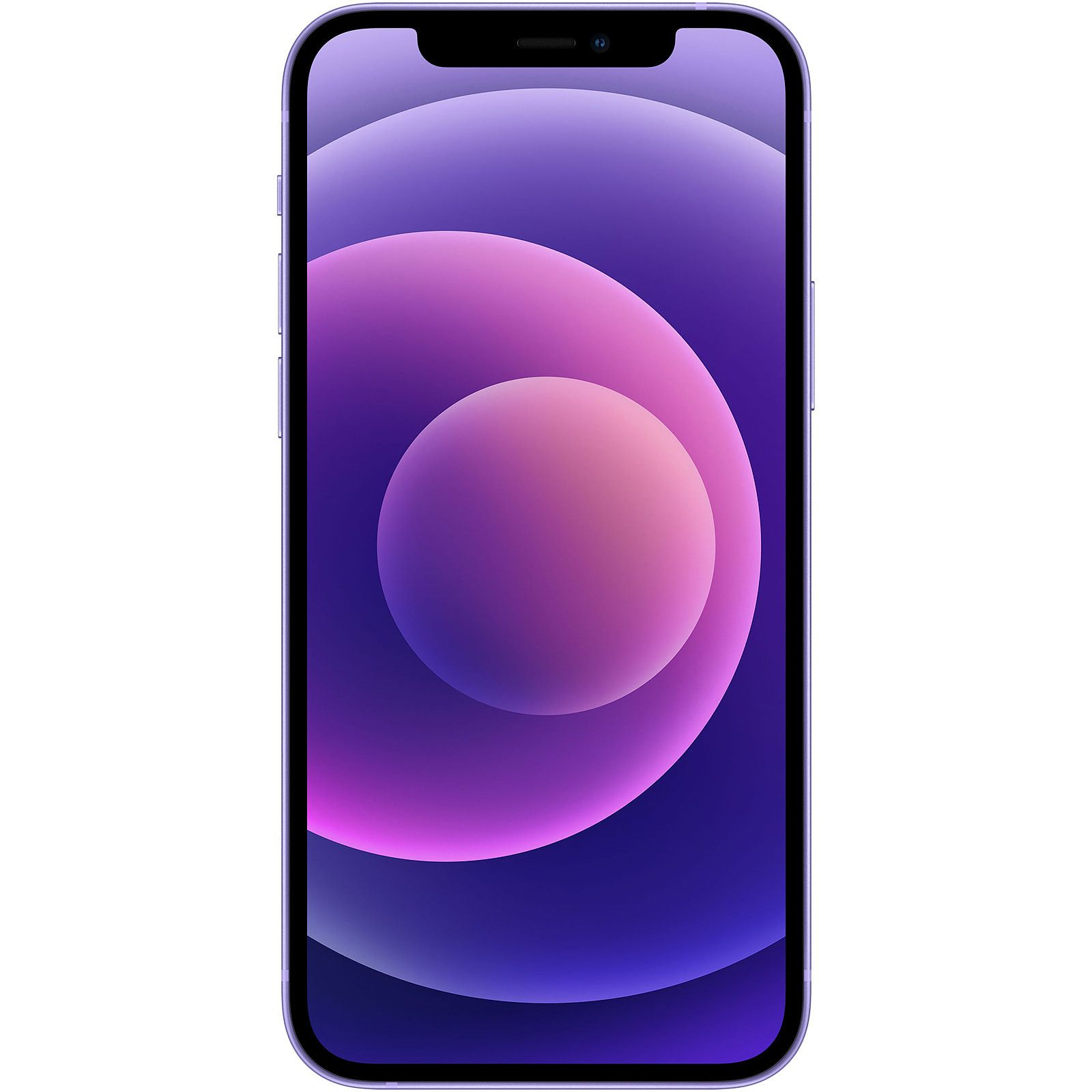 Un iPhone viola che mostra lo schermo con una sfumatura viola, isolato su sfondo bianco.