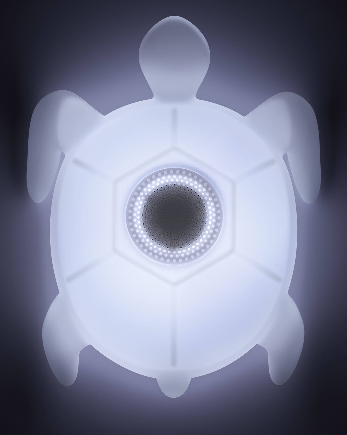 Podświetlana lampa w kształcie żółwia emitująca białe światło, na ciemnym tle.