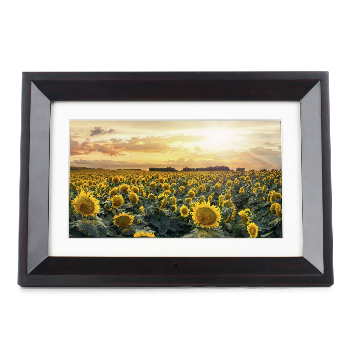 Una cornice in legno con una foto di girasoli in un campo al tramonto.