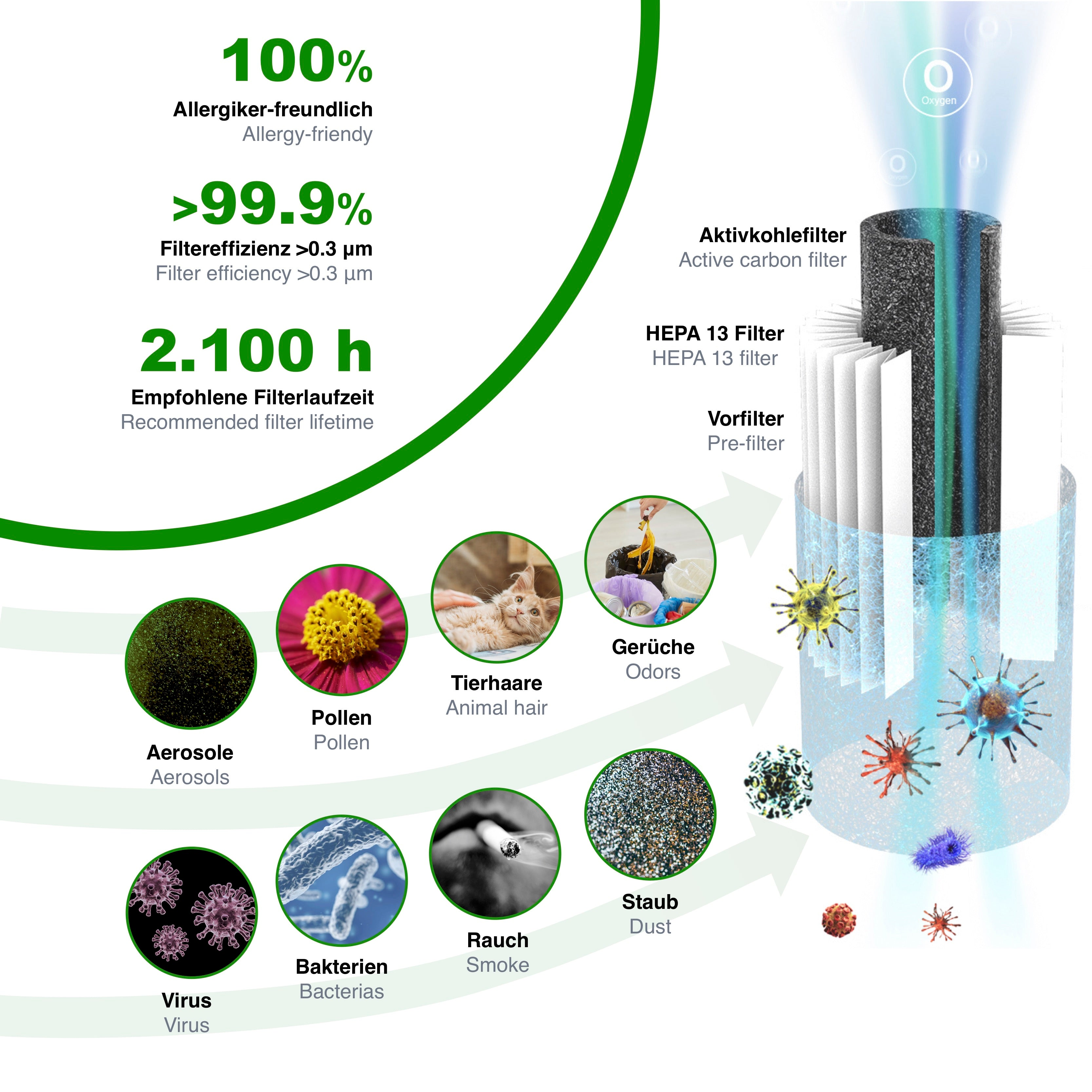 Diagramm zeigt Luftfilter mit Komponenten, einschließlich HEPA-Filter, und Allergenen wie Viren und Staub.