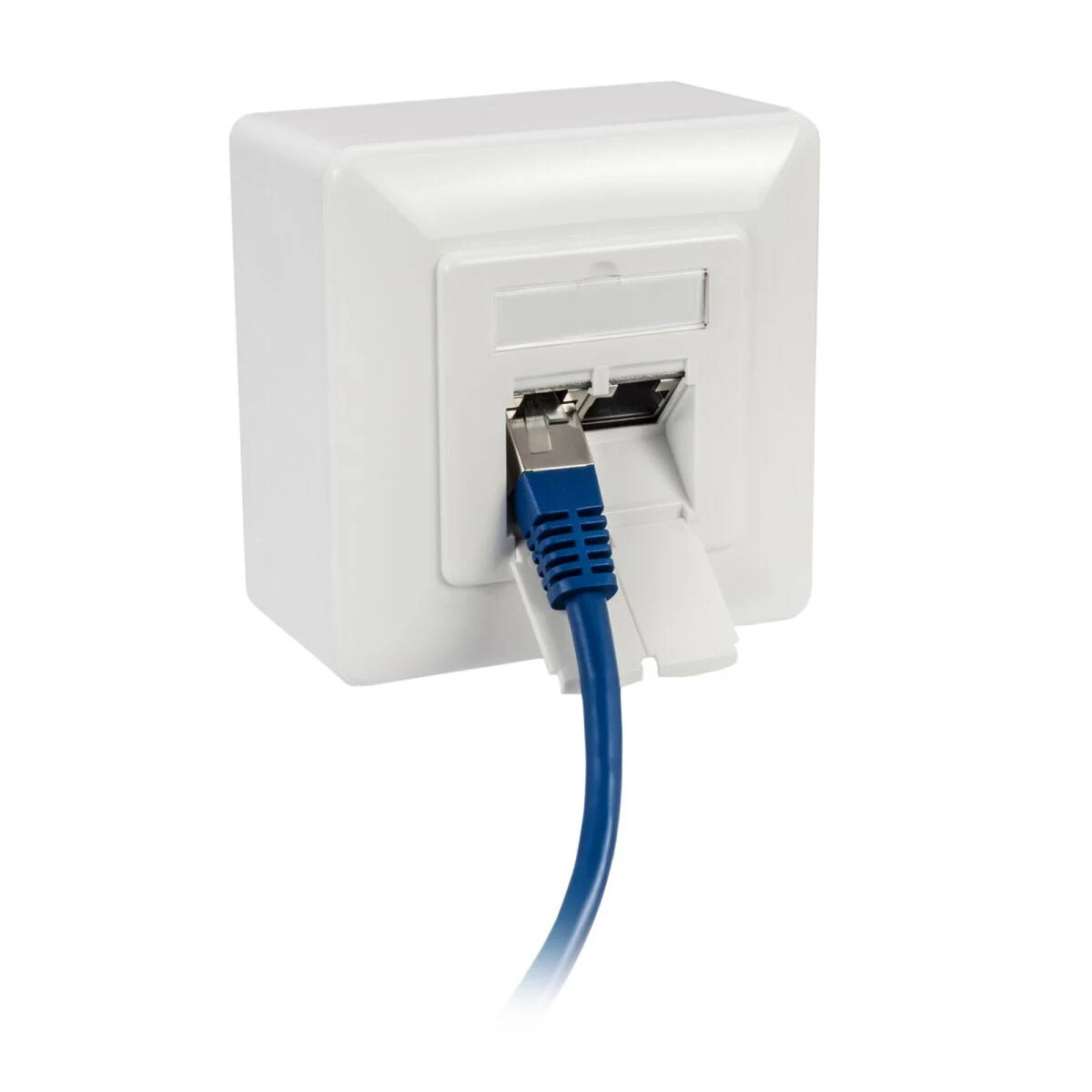 Weiße Netzwerk-Wandsteckdose mit eingestecktem blauem Netzwerkkabel.