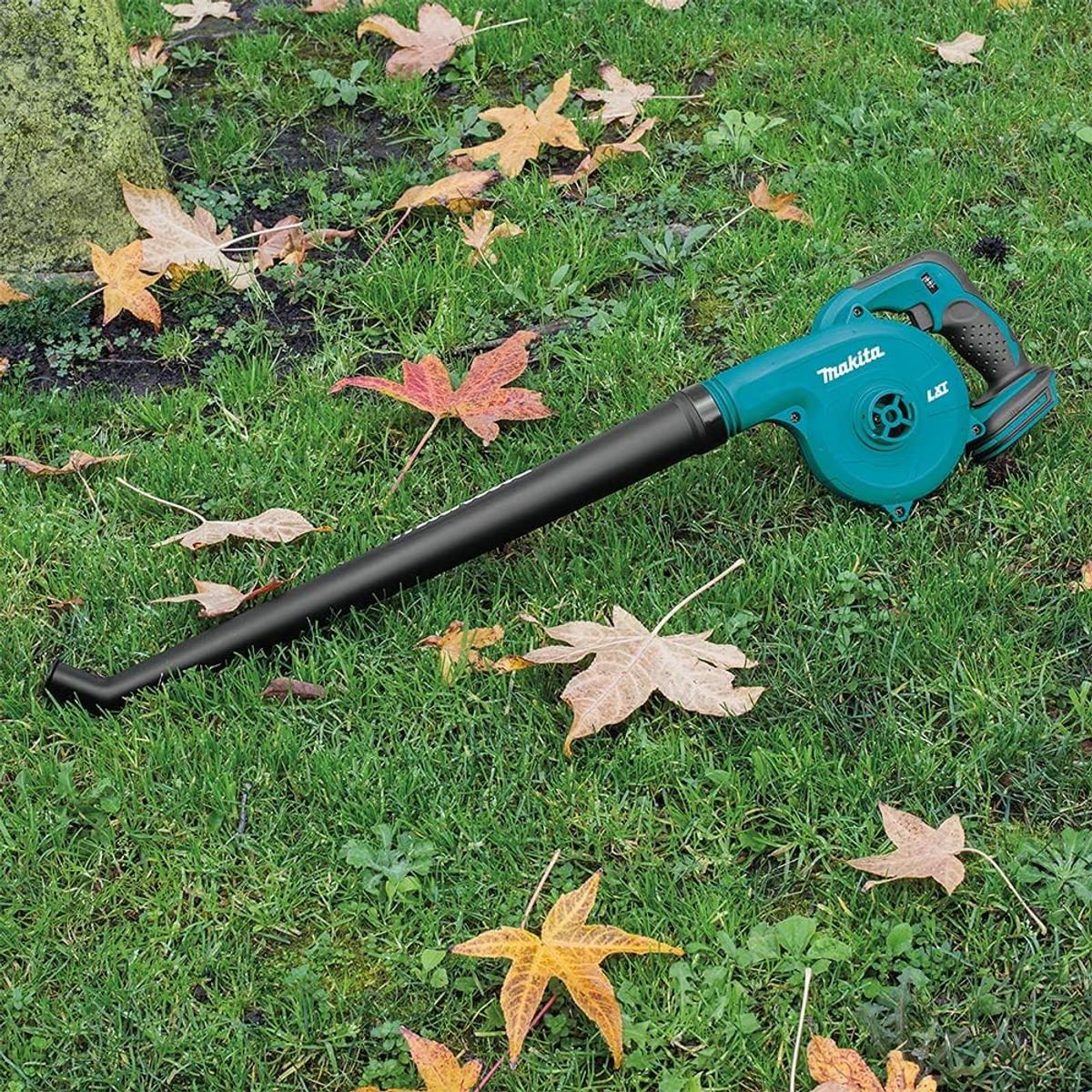 A leaf blower on green grass, blowing leaves. Autumn leaves are scattered around.
