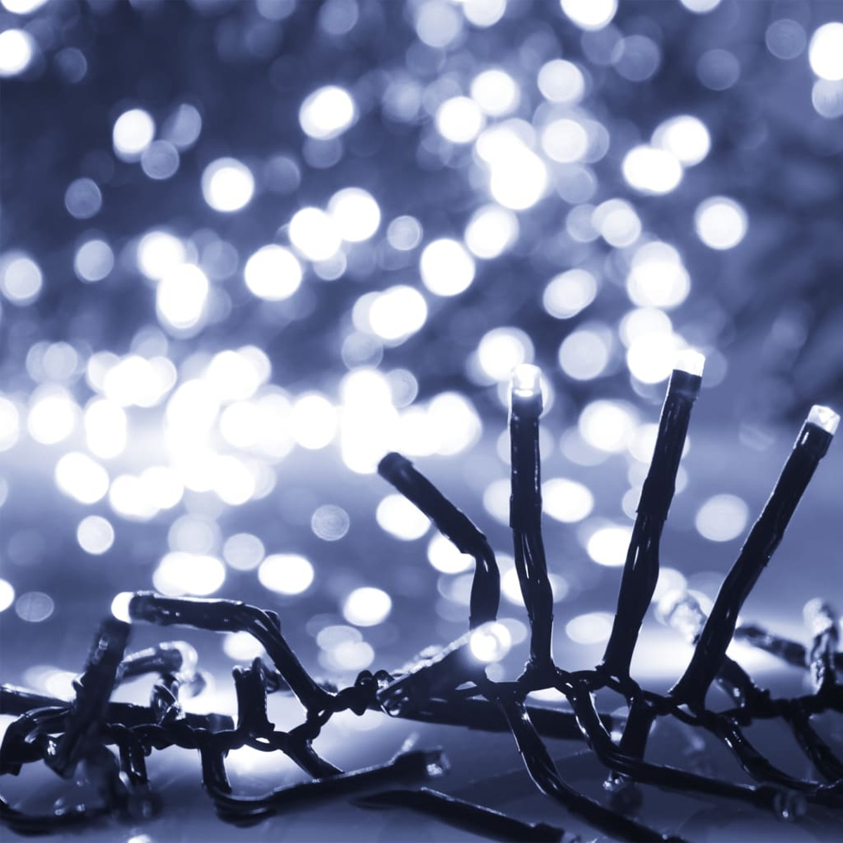 Lichterkette mit verschwommenem Hintergrund, erzeugt Bokeh-Effekt.