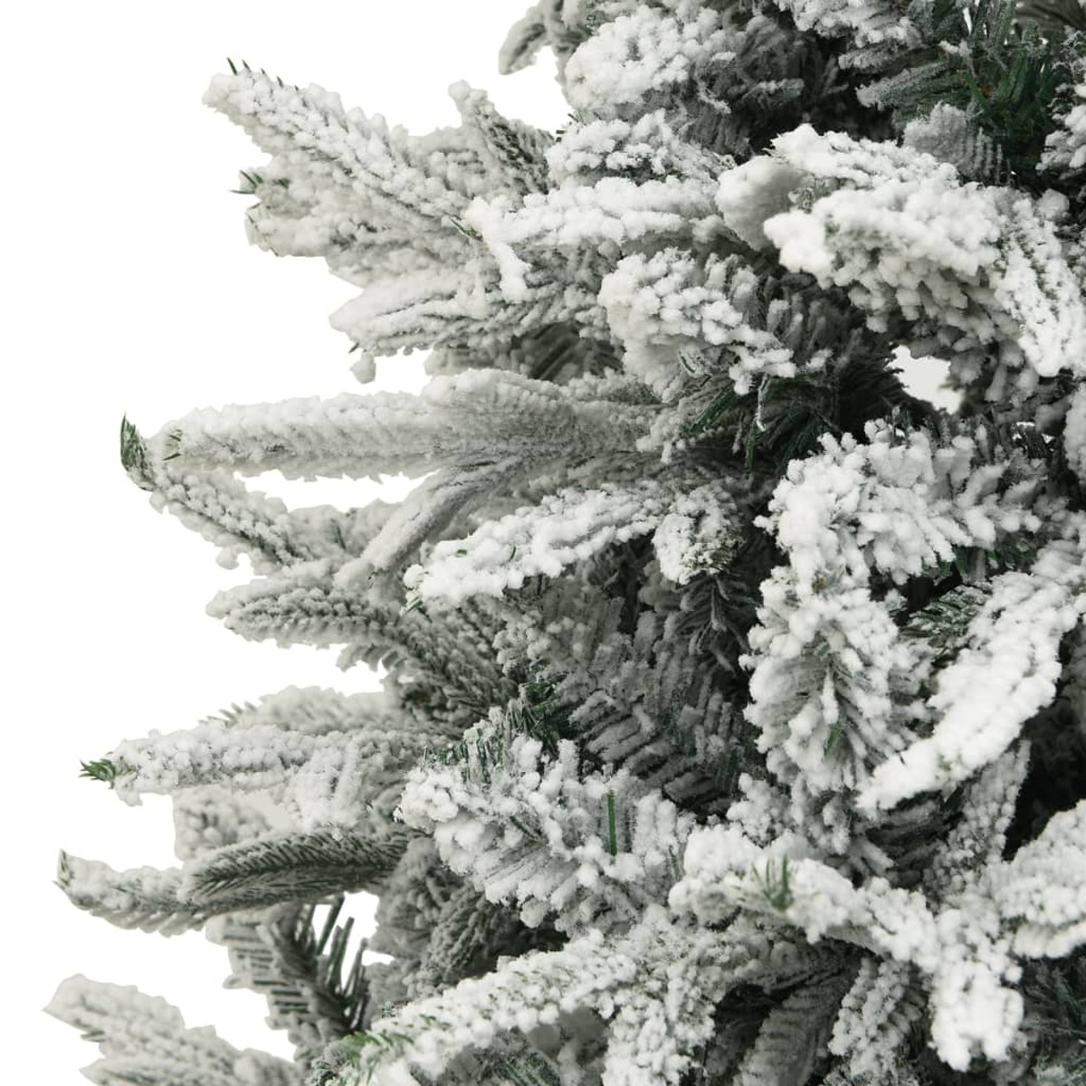 Nahaufnahme von schneebedeckten Ästen eines Weihnachtsbaums. Weißer Hintergrund.
