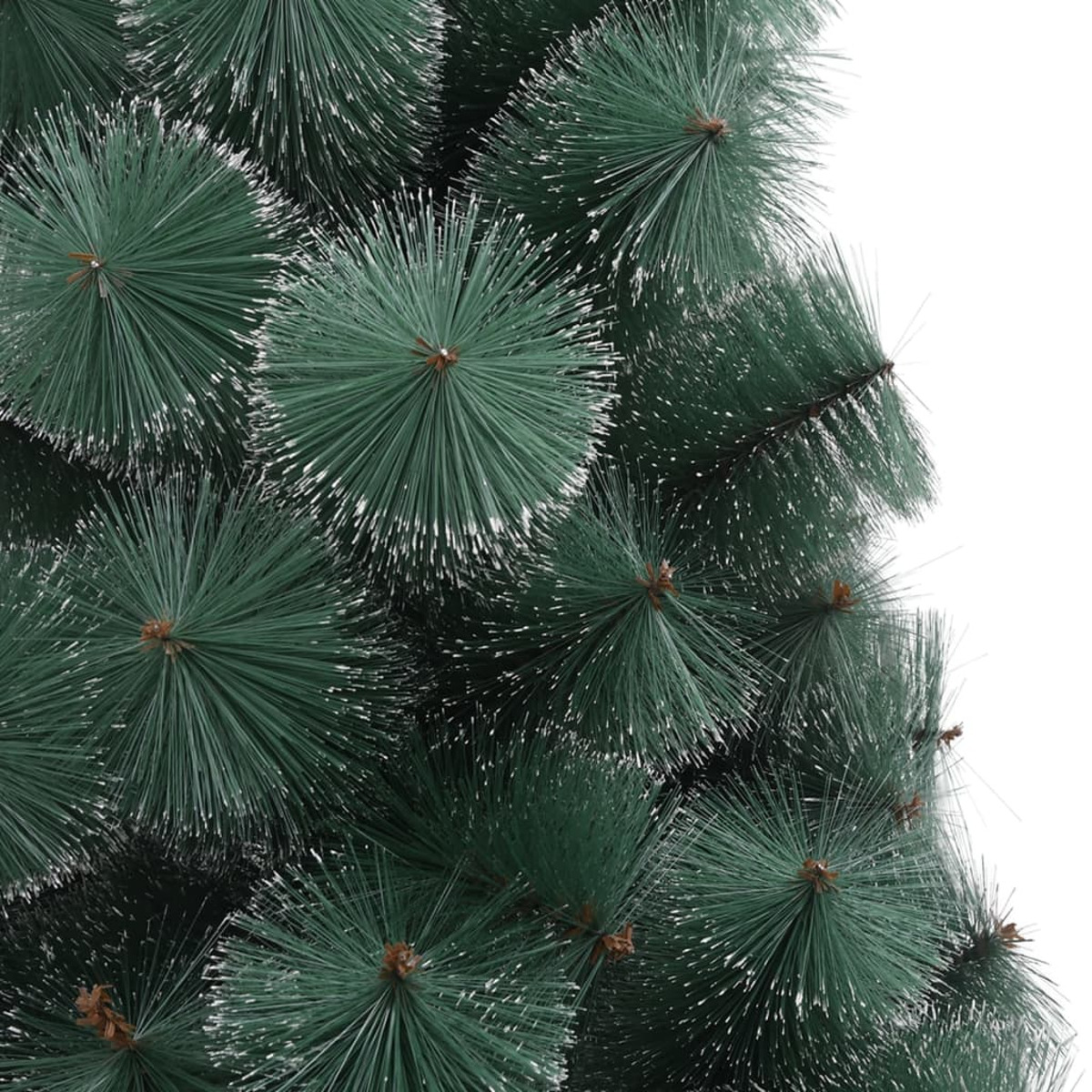 Nahaufnahme eines grünen Weihnachtsbaumzweigs. Die Nadeln sind lang und spitz, mit silbernen Spitzen. Ein weißer Hintergrund.