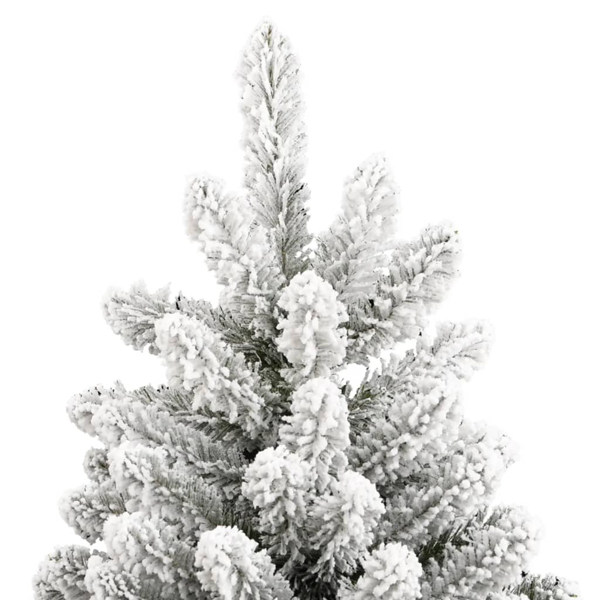 Schneebedeckte Weihnachtsbaumzweige vor weißem Hintergrund. Nahaufnahme.