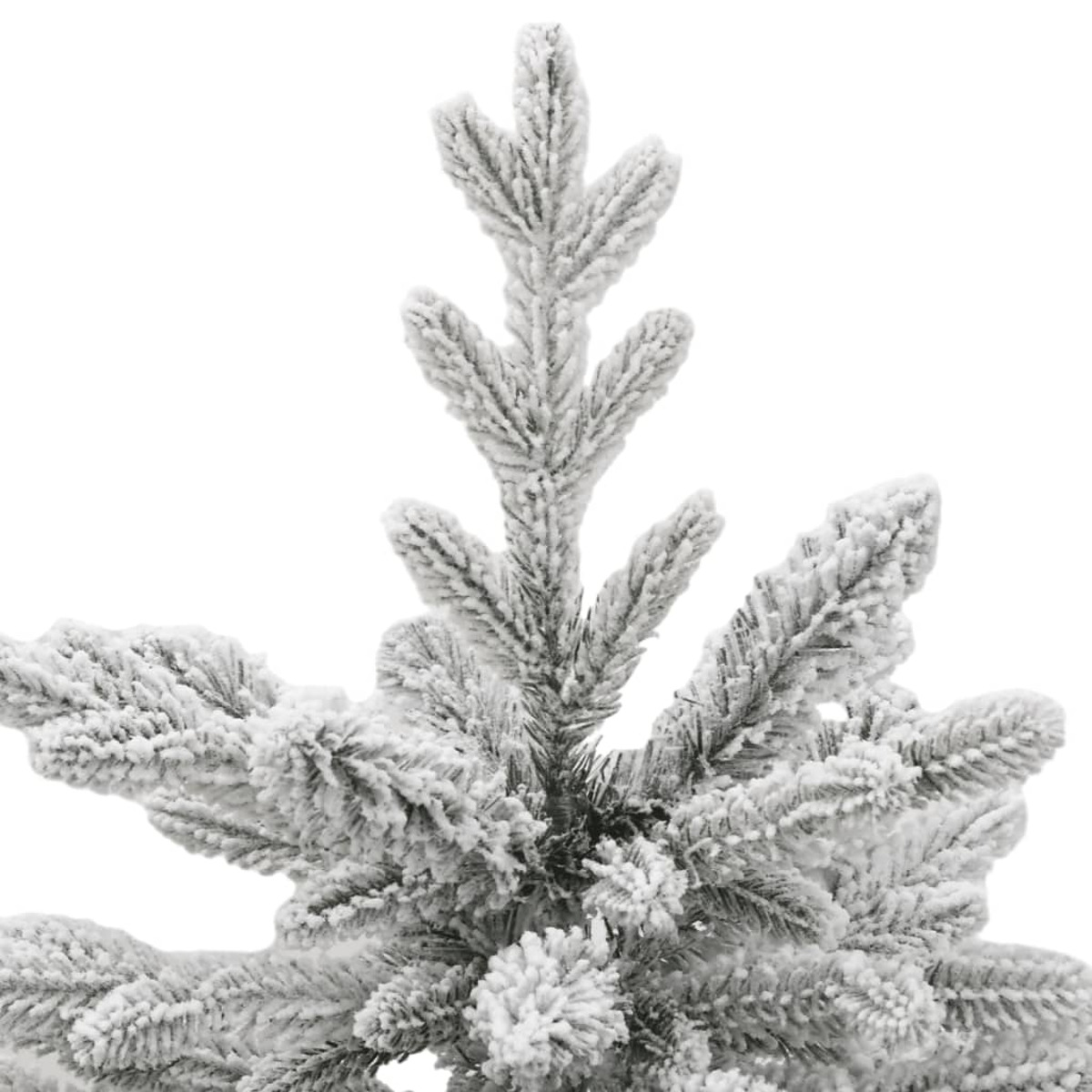 Nahaufnahme von schneebedeckten Weihnachtsbaumzweigen. Weißer Hintergrund.