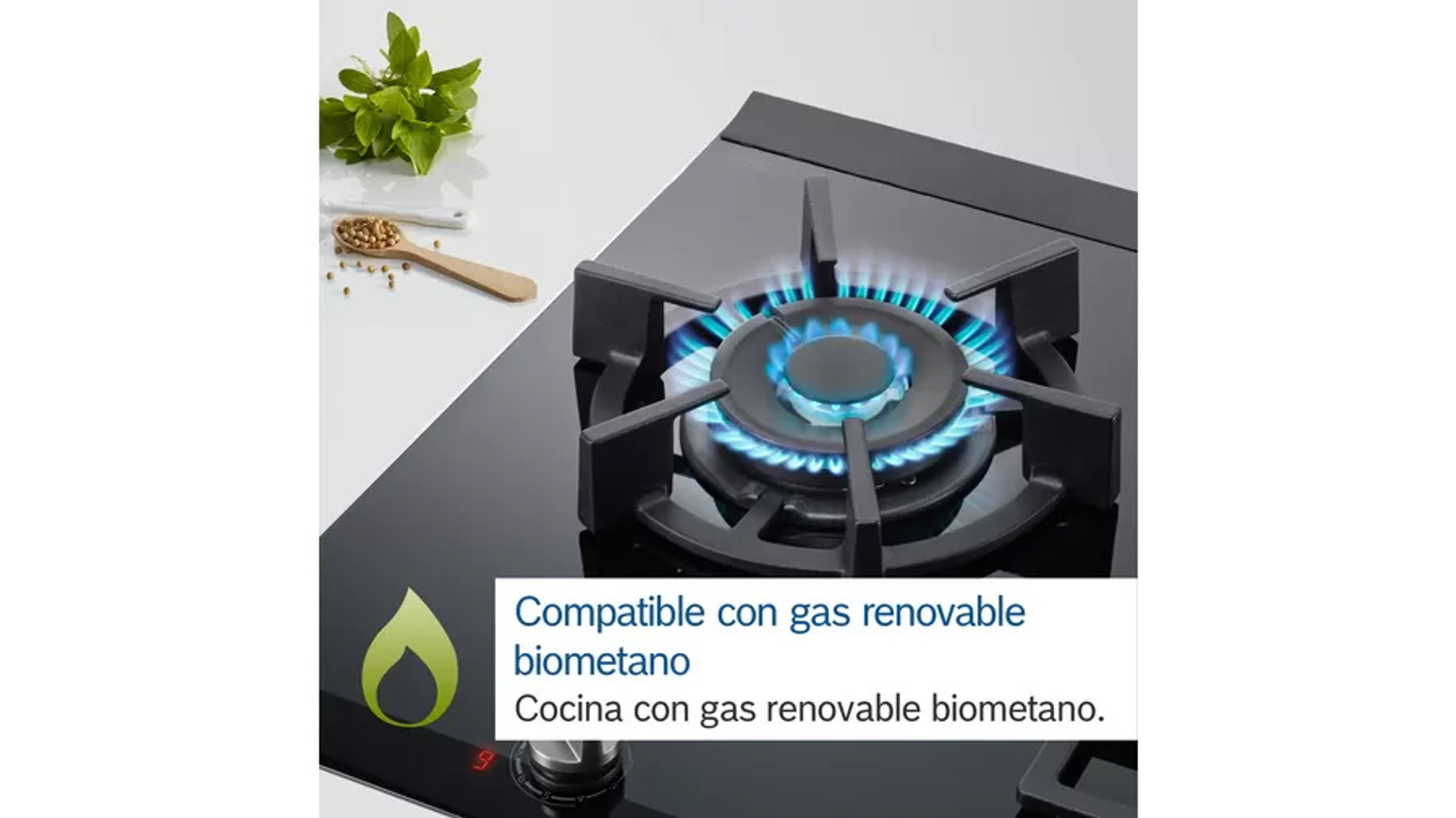 Kuchenka gazowa z niebieskim płomieniem. Tekst w języku hiszpańskim informuje, że kuchenka jest przeznaczona do odnawialnego gazu biometanowego.