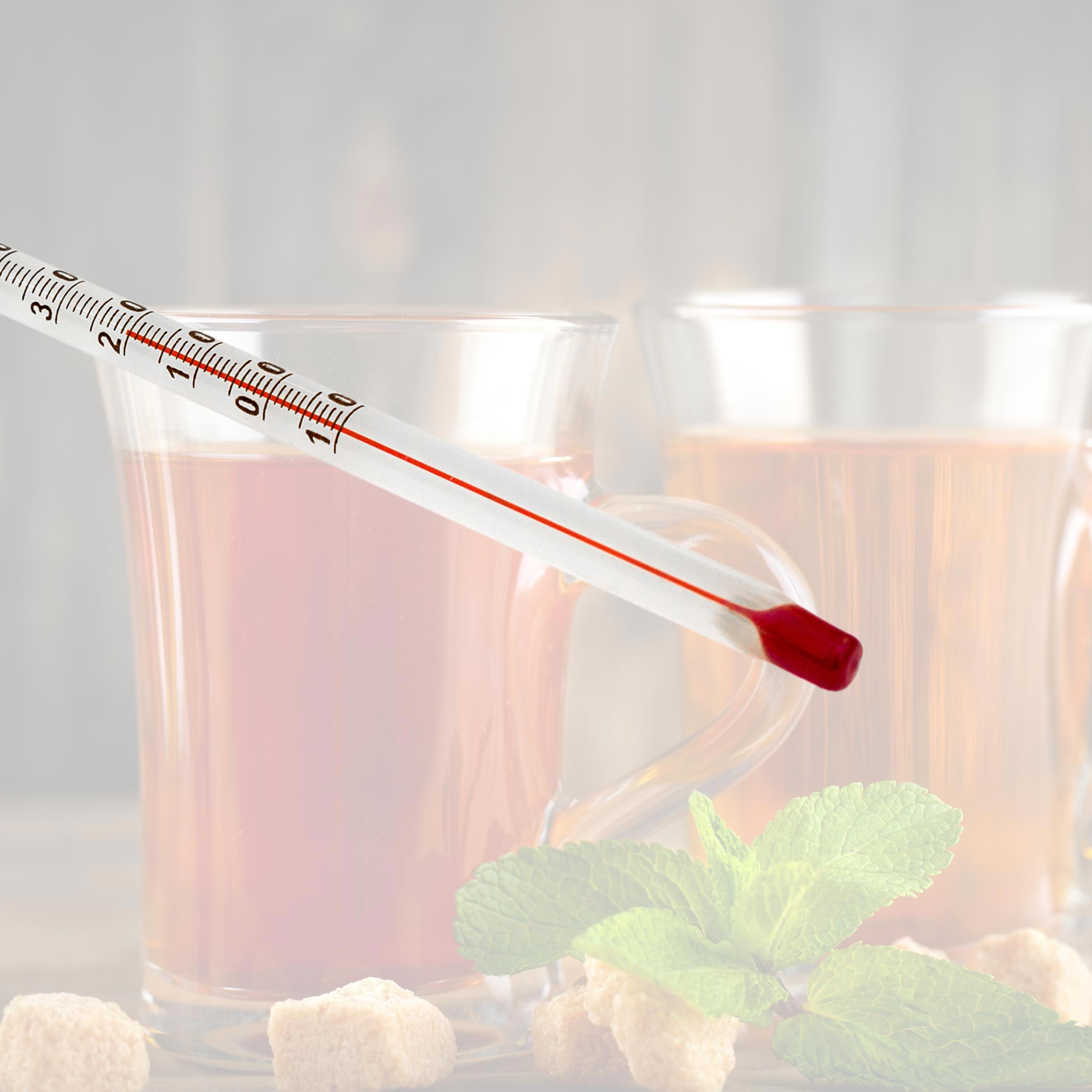 Ein Glas Tee mit Thermometer. Minze und Zuckerwürfel im Vordergrund.