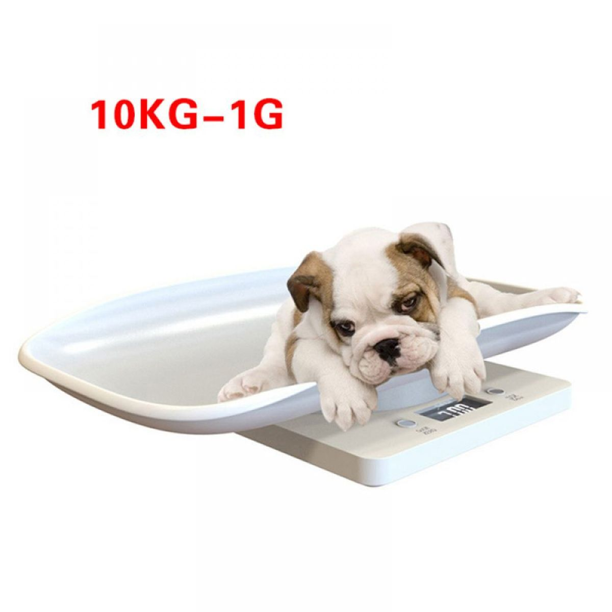 Ein Welpe liegt auf einer Waage. Text oben: 10KG-1G.