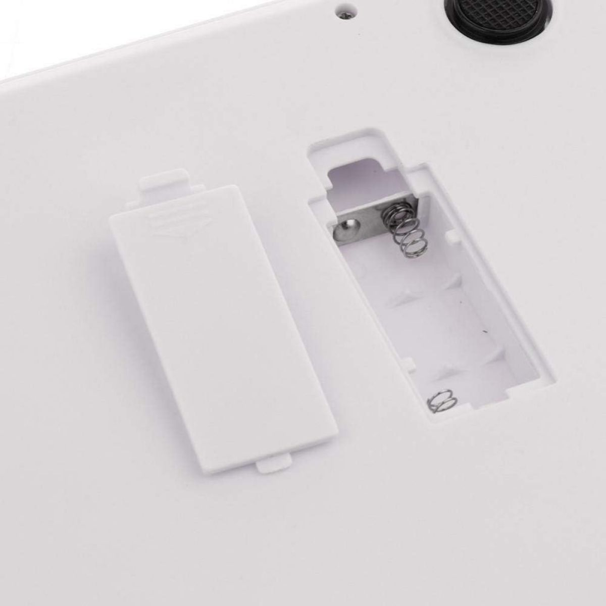 Offenes Batteriefach mit Batterie und Feder darin.