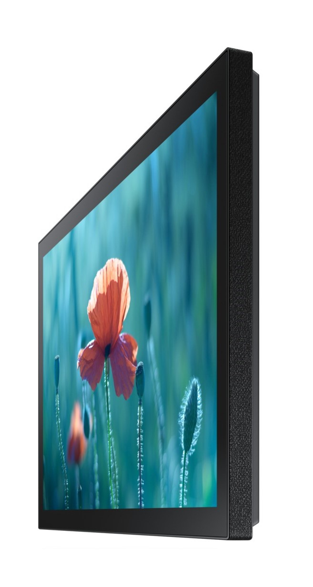 Vista laterale di uno schermo TV nero che mostra un fiore. La TV è al muro. Sfondo bianco.