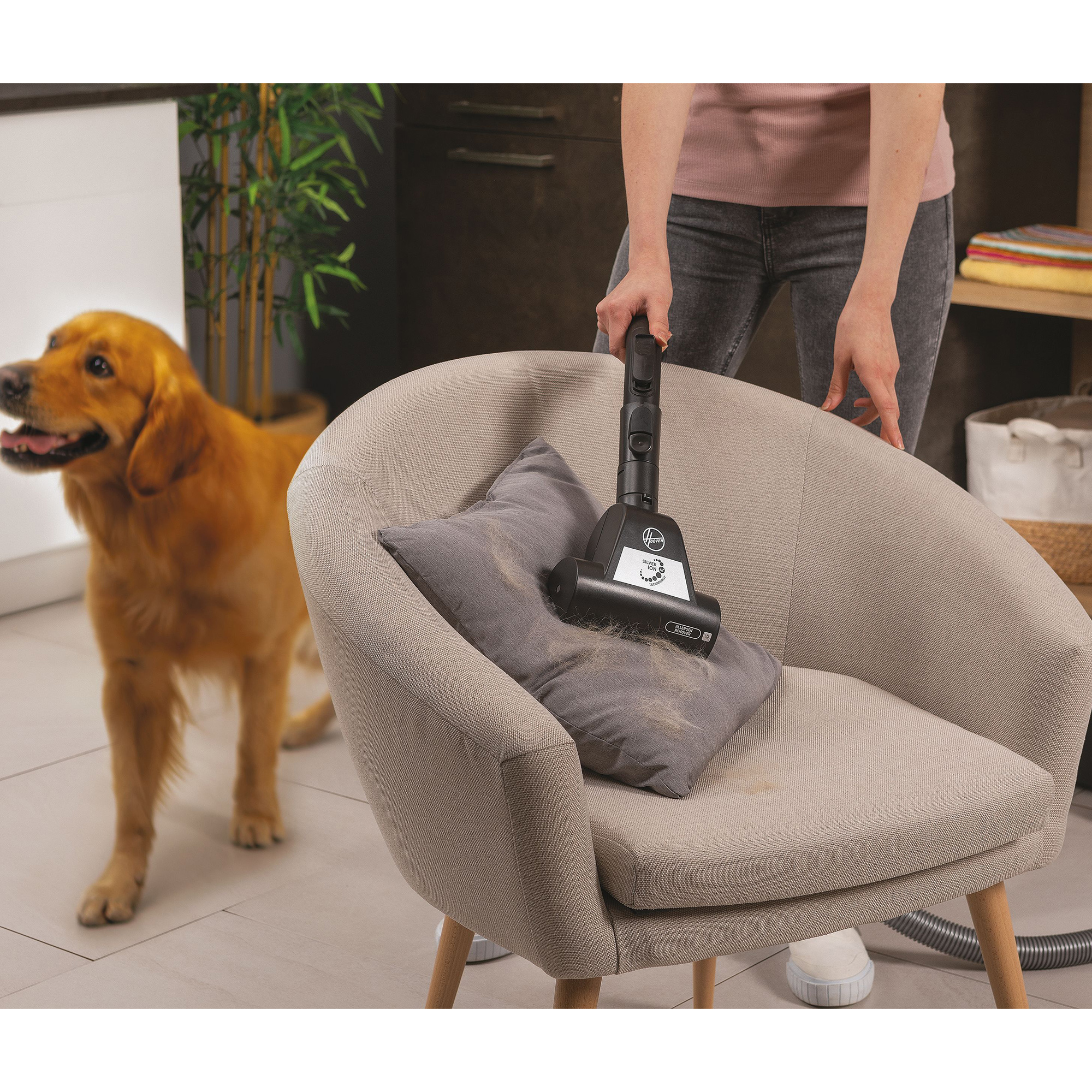 Osoba odkurzająca jasno szary fotel. Z lewej strony stoi pies golden retriever.