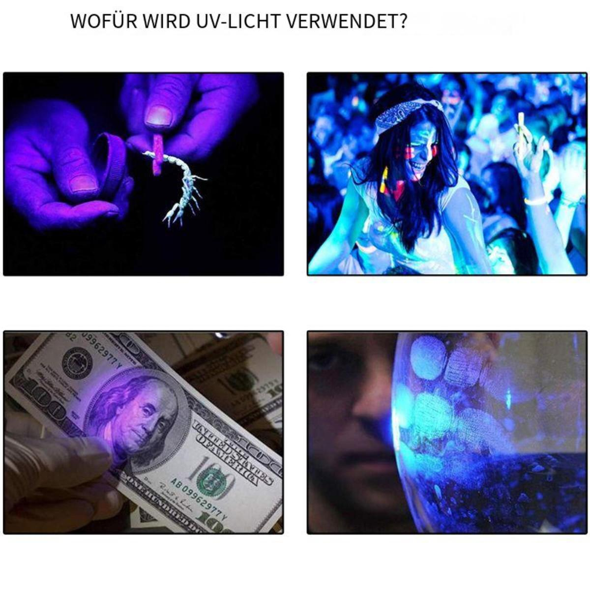 Vier Bilder, die die Verwendung von UV-Licht demonstrieren. Zeigt leuchtende Insekten, Menschen, Geld und Fingerabdrücke unter UV-Licht.