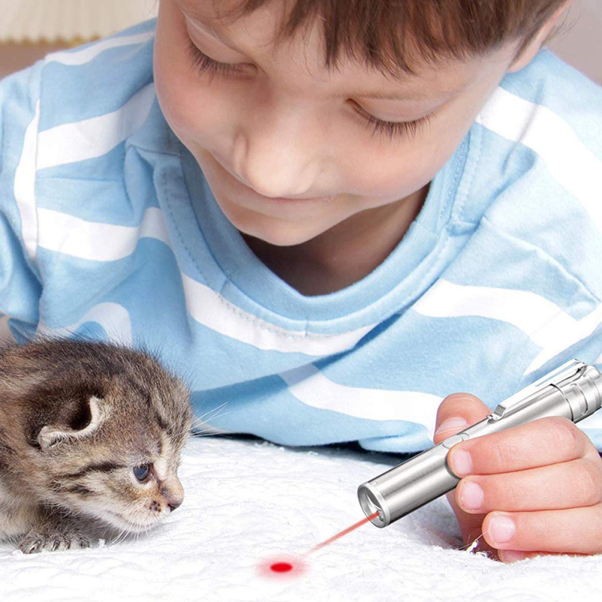 Ein Junge zielt mit einem Laserpointer auf eine Katze auf einem Bett.