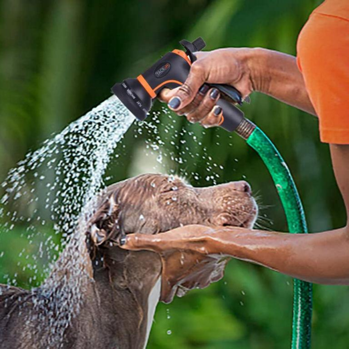 Eine Person besprüht einen Hund mit einer schwarz-orangenen Spritzdüse.