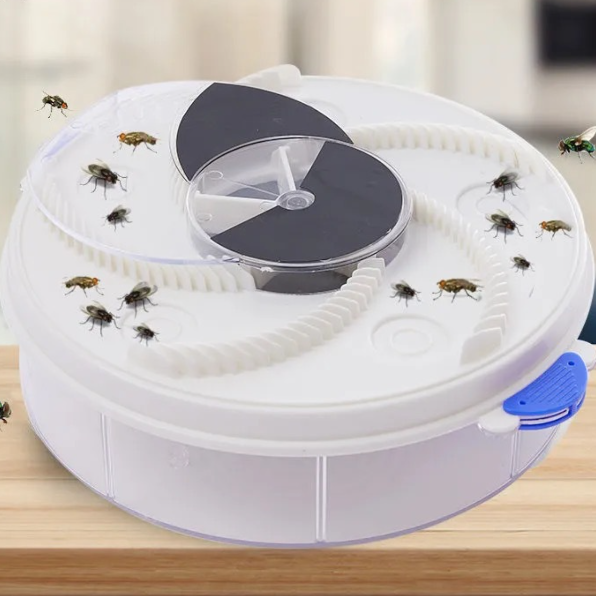 Weiße Fliegenfalle mit Fliegen darauf. Fliegen sind in der Schale des weißen Behälters gefangen.