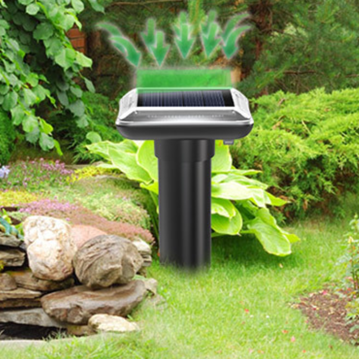 Solarbetriebener Maulwurfschreck im Garten. Grünes Gras, Pflanzen und ein Steinrand sind sichtbar.