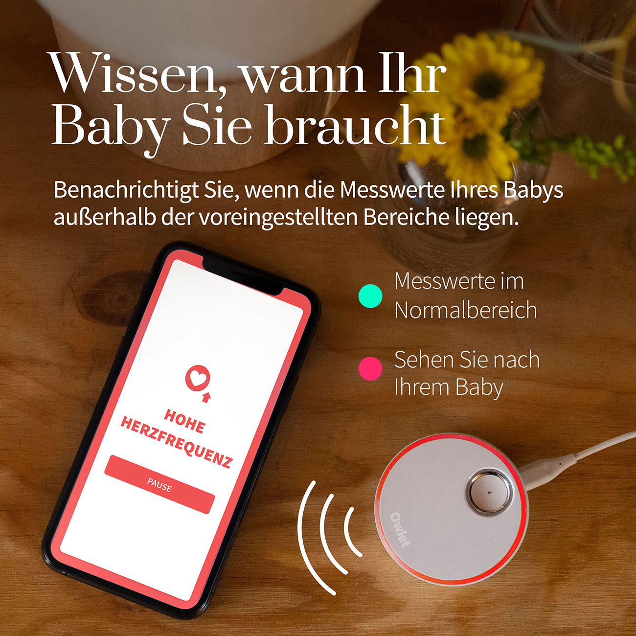 Baby Sock Monitor Smart OWLET