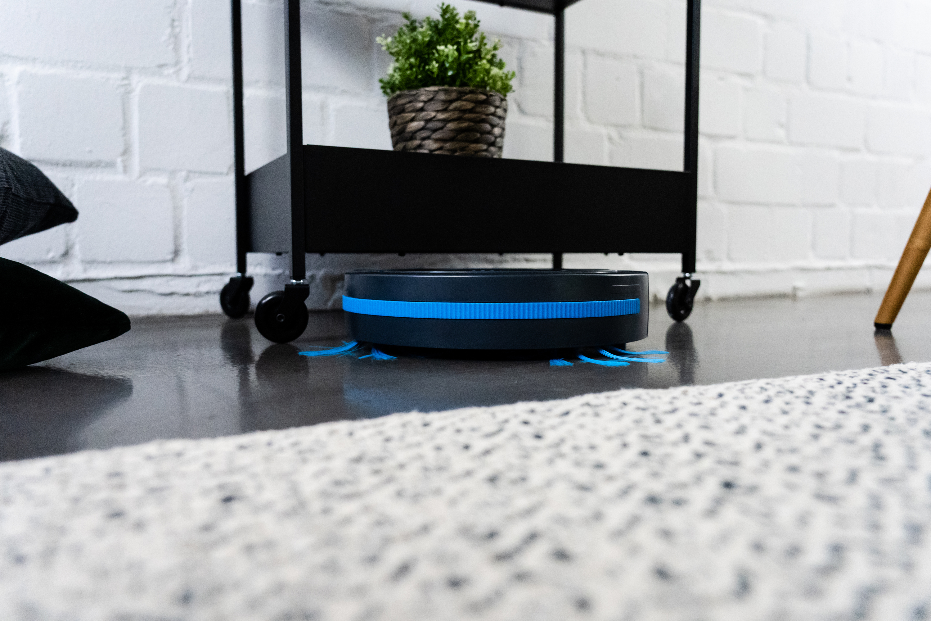 Roboter-Staubsauger auf einem Boden, mit Regal und Pflanze im Hintergrund.
