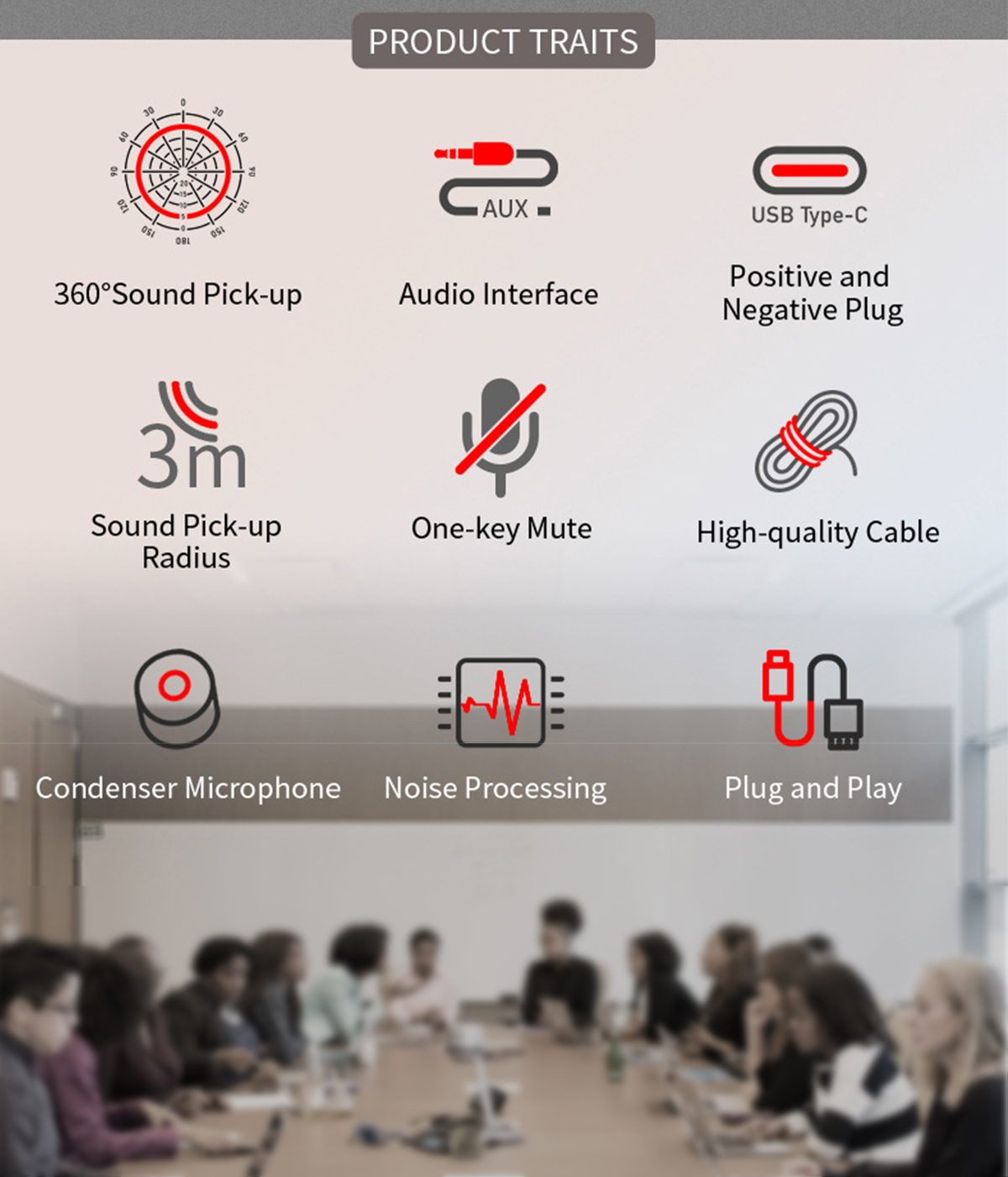 Symbole, die Produkteigenschaften wie 360°-Tonaufnahme, Audio-Schnittstelle und Stecker zeigen.