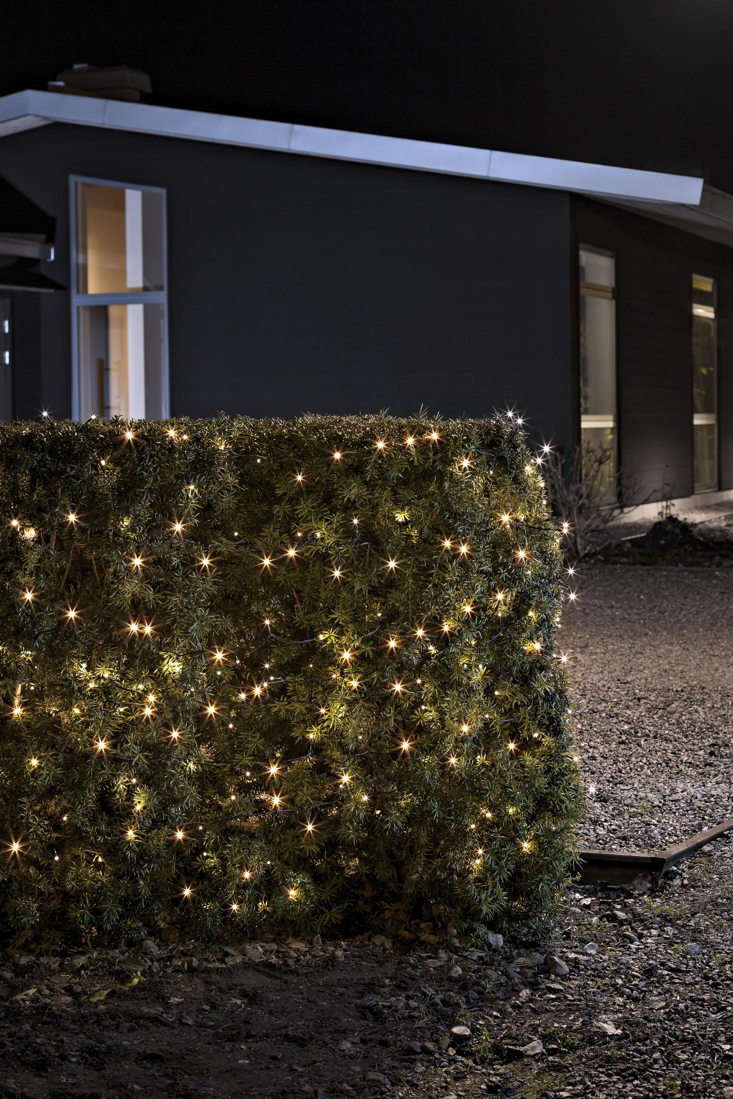 Eine Hecke bei Nacht mit Lichterketten, ein Haus im Hintergrund.