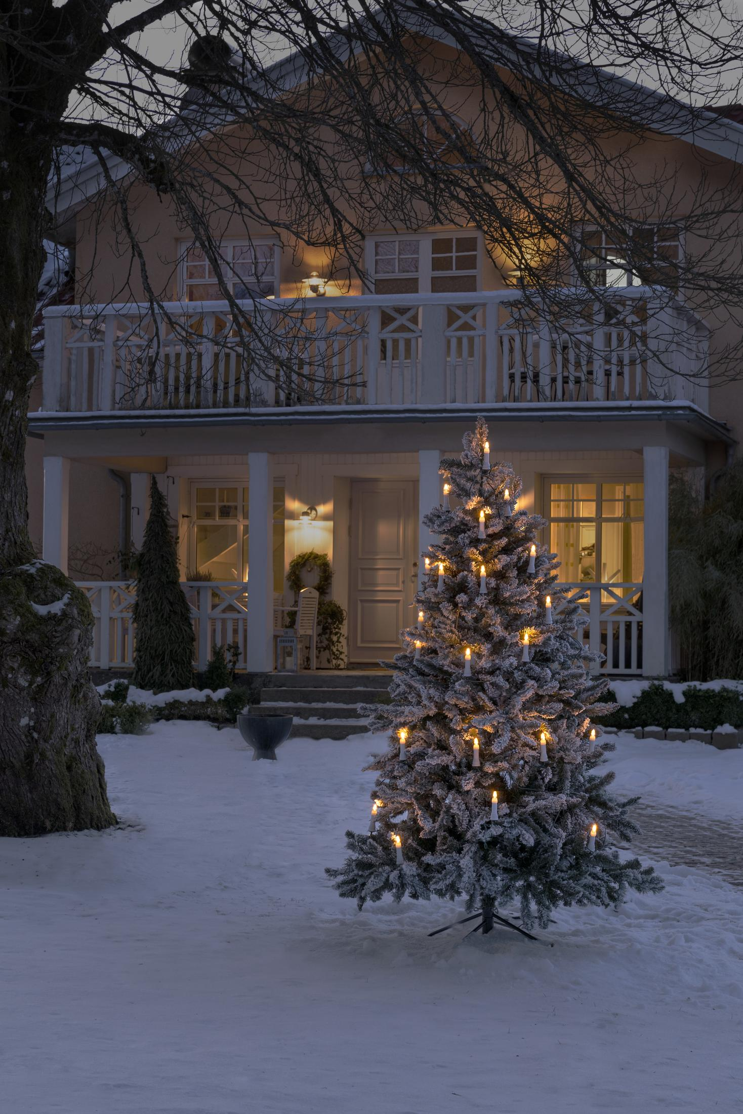 Ein schneebedeckter Weihnachtsbaum mit Lichtern vor einem Haus in der Dämmerung.