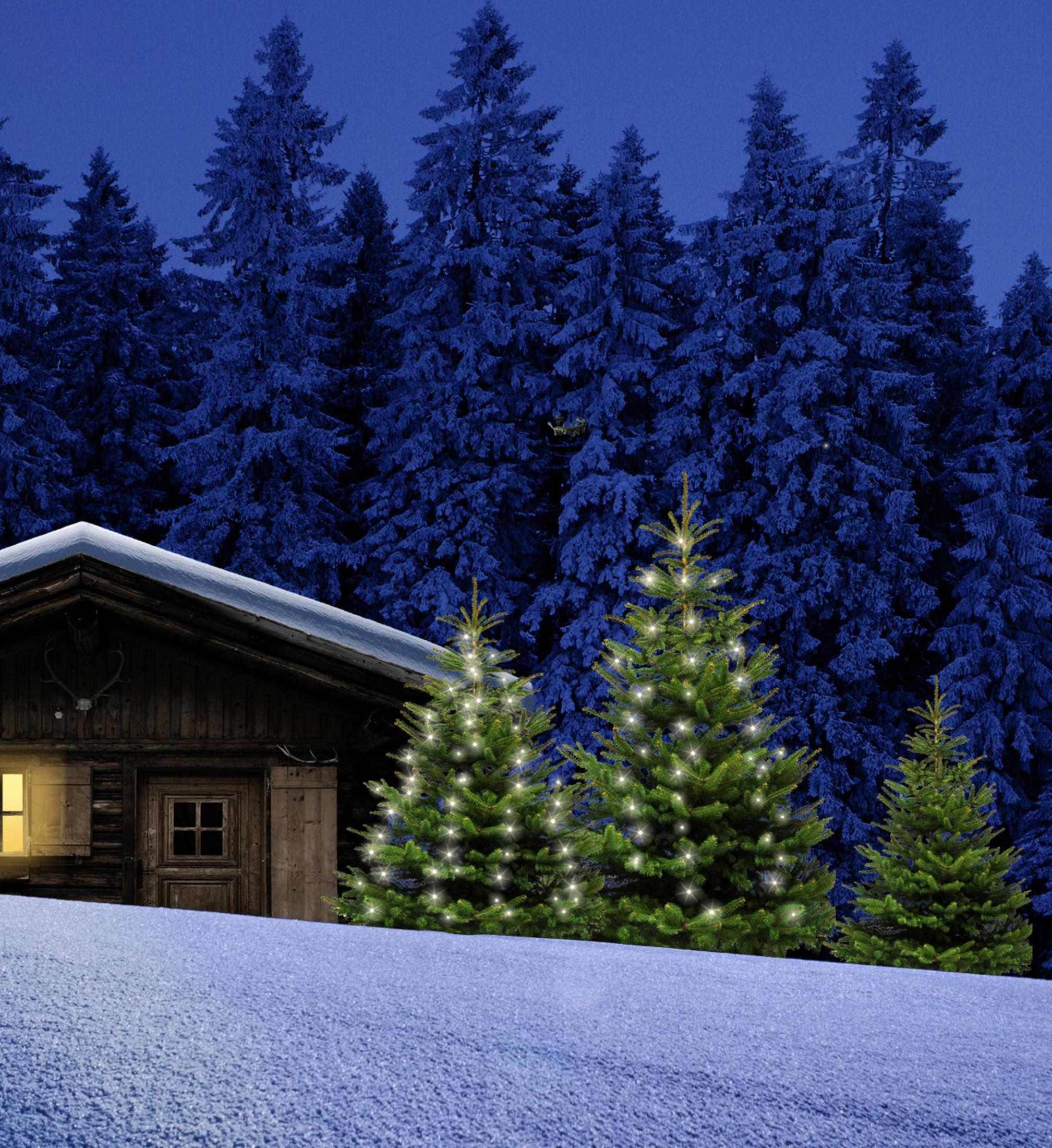 Winterlandschaft: Hütte mit beleuchtetem Fenster, Weihnachtsbäume, Schnee und dunkler blauer Wald im Hintergrund.