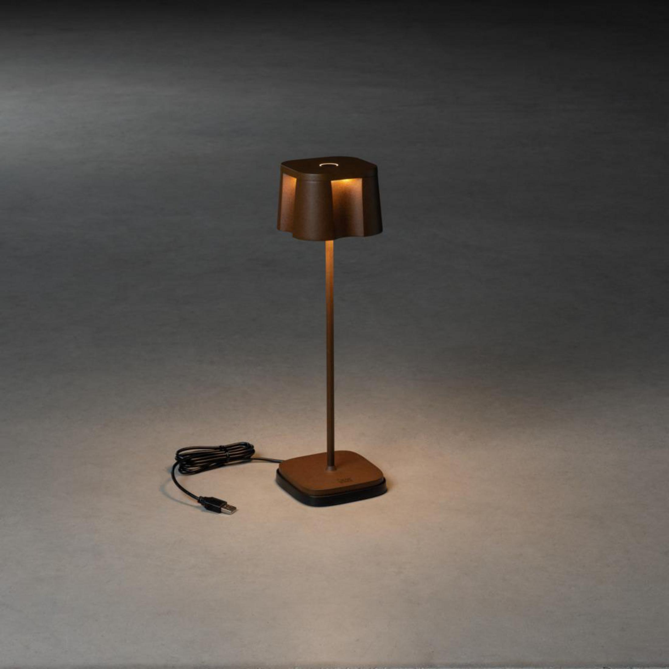Eine braune Lampe mit quadratischem Sockel und USB-Kabel auf grauem Hintergrund.
