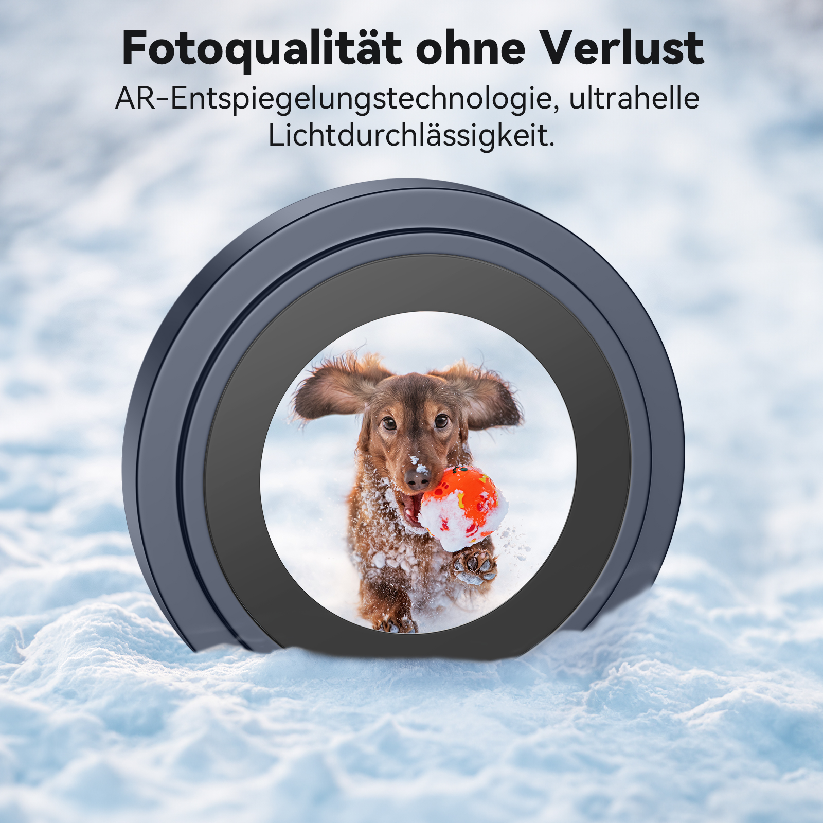 Ein Hund mit Ball im Schnee, mit einer Linse im Vordergrund.