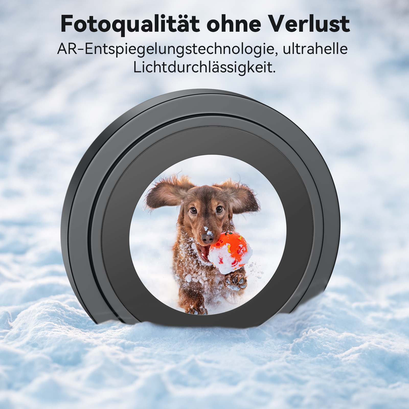 Hund mit einem orange-weißen Ball im Maul, in verschneiter Umgebung.
