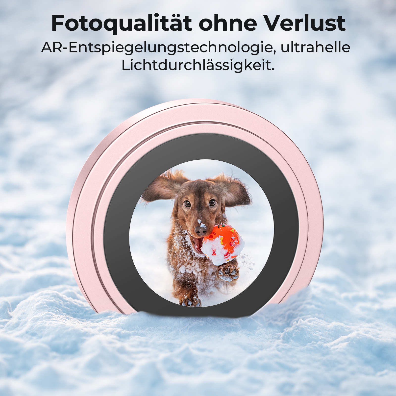 Ein rosa Ring hält ein Foto eines Hundes mit Ball in einer Schneeszene.