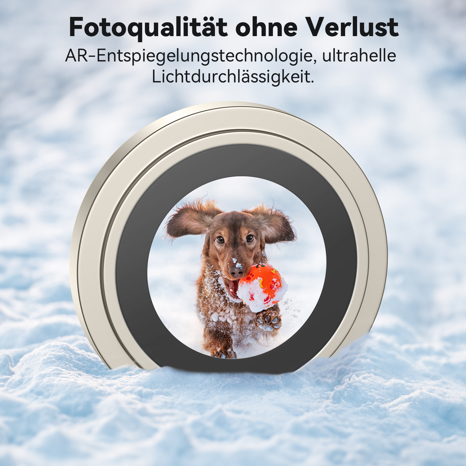Hund mit orangefarbenem Ball in linsenförmigem Rahmen, schneebedeckter Boden.