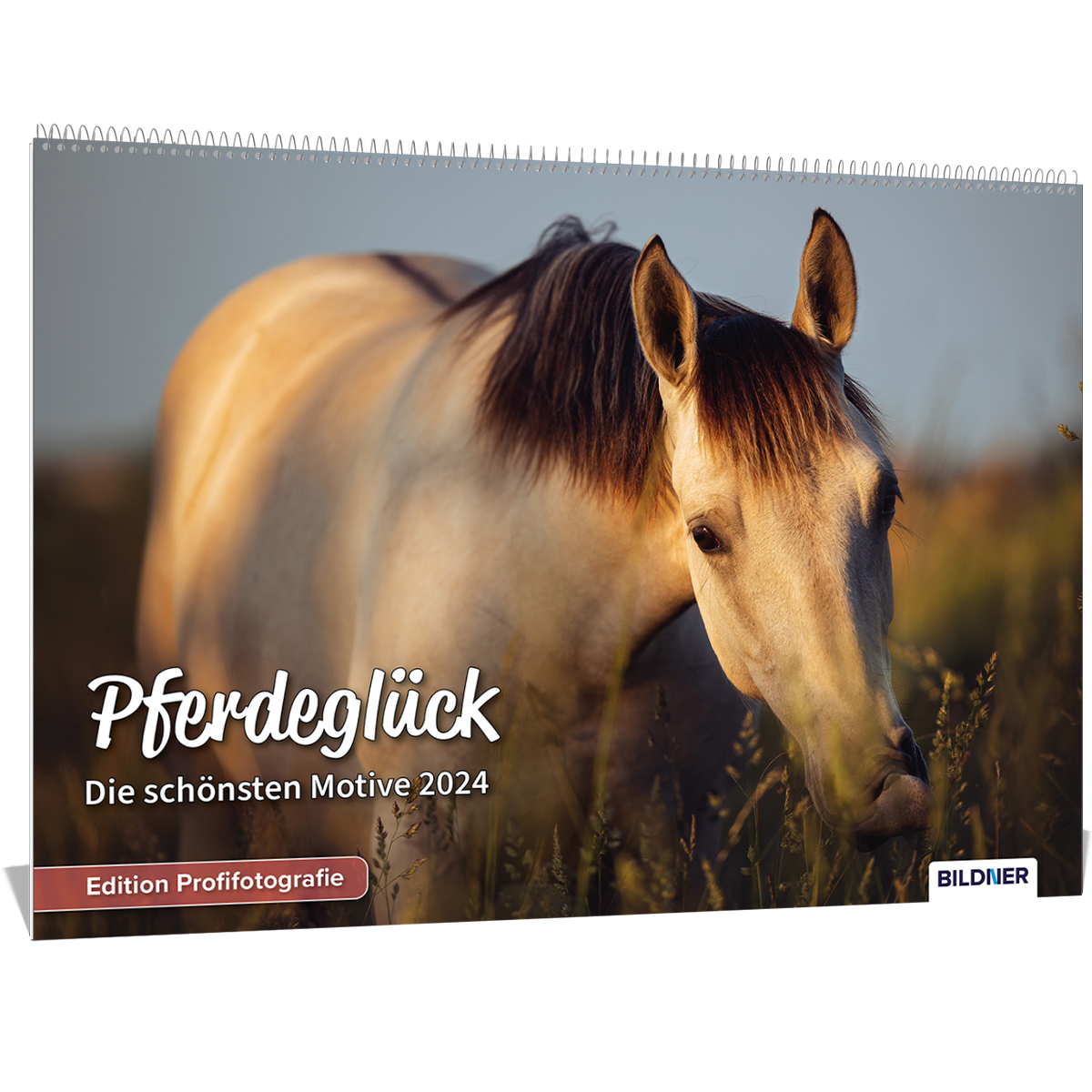 Motive 2024 Kalender: (Wandkalender) schönsten Pferdeglück Die –