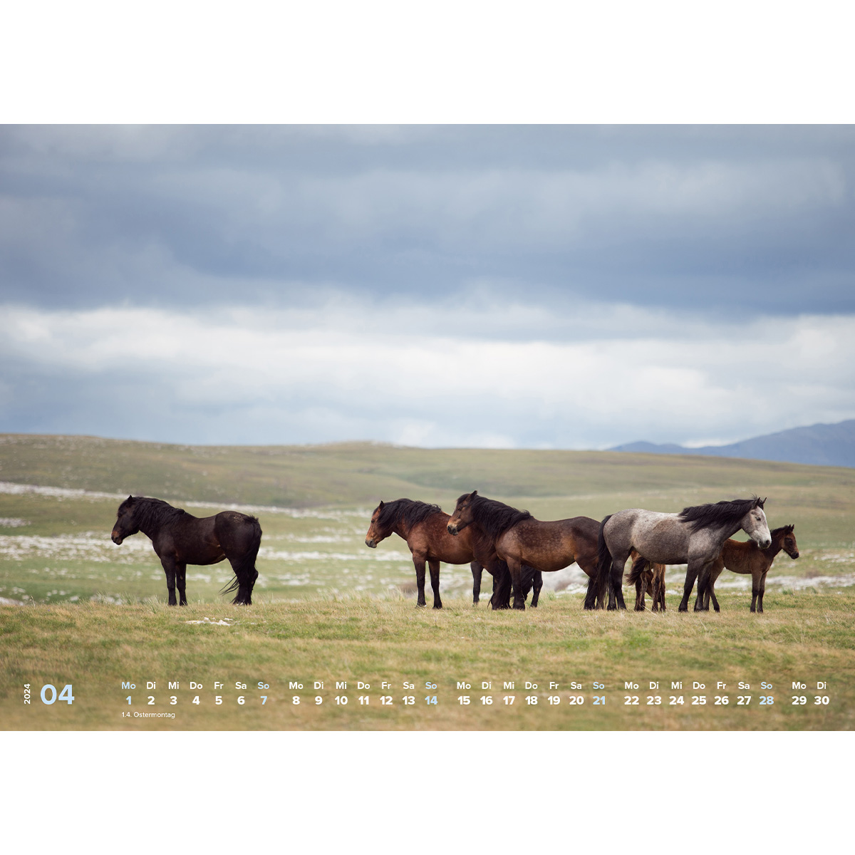 Kalender: Pferdeglück – Die schönsten Motive (Wandkalender) 2024