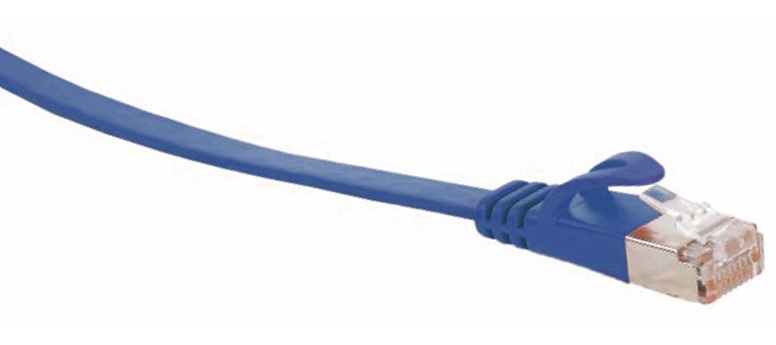 Ein blaues Netzwerkkabel mit Stecker, auf weißem Hintergrund.