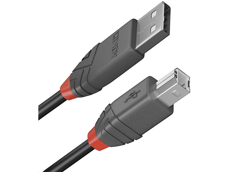 USB-B-Kabel USB LINDY A 36673 zu