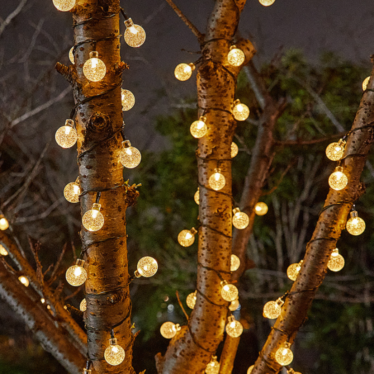 Funkelnde Lichter umranken Äste bei Nacht. Warme, glühende Kugeln erzeugen eine festliche Atmosphäre.
