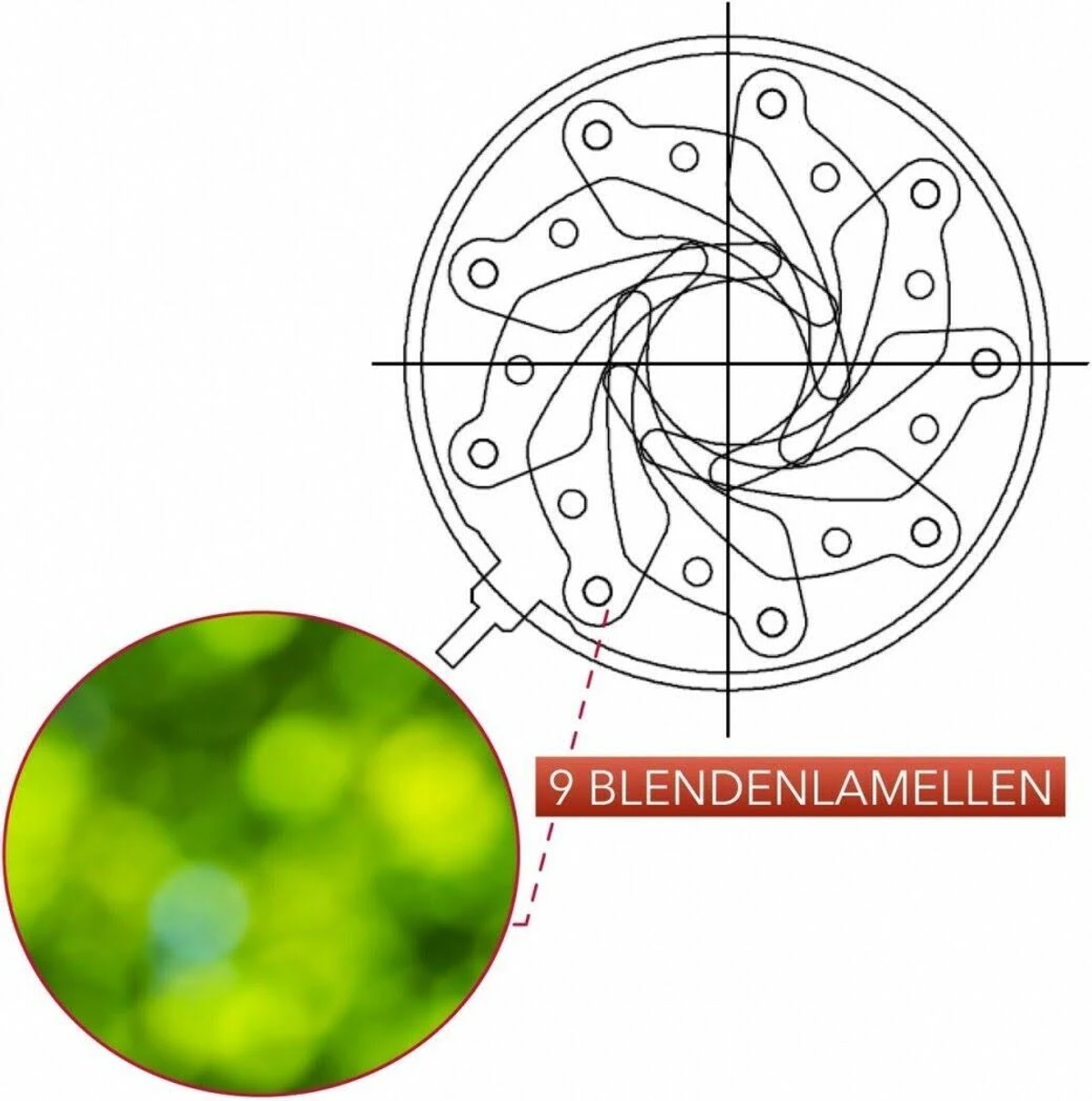 Schemat obiektywu aparatu z 9 listkami przysłony. W okręgu pokazano zbliżenie zielonego efektu bokeh.