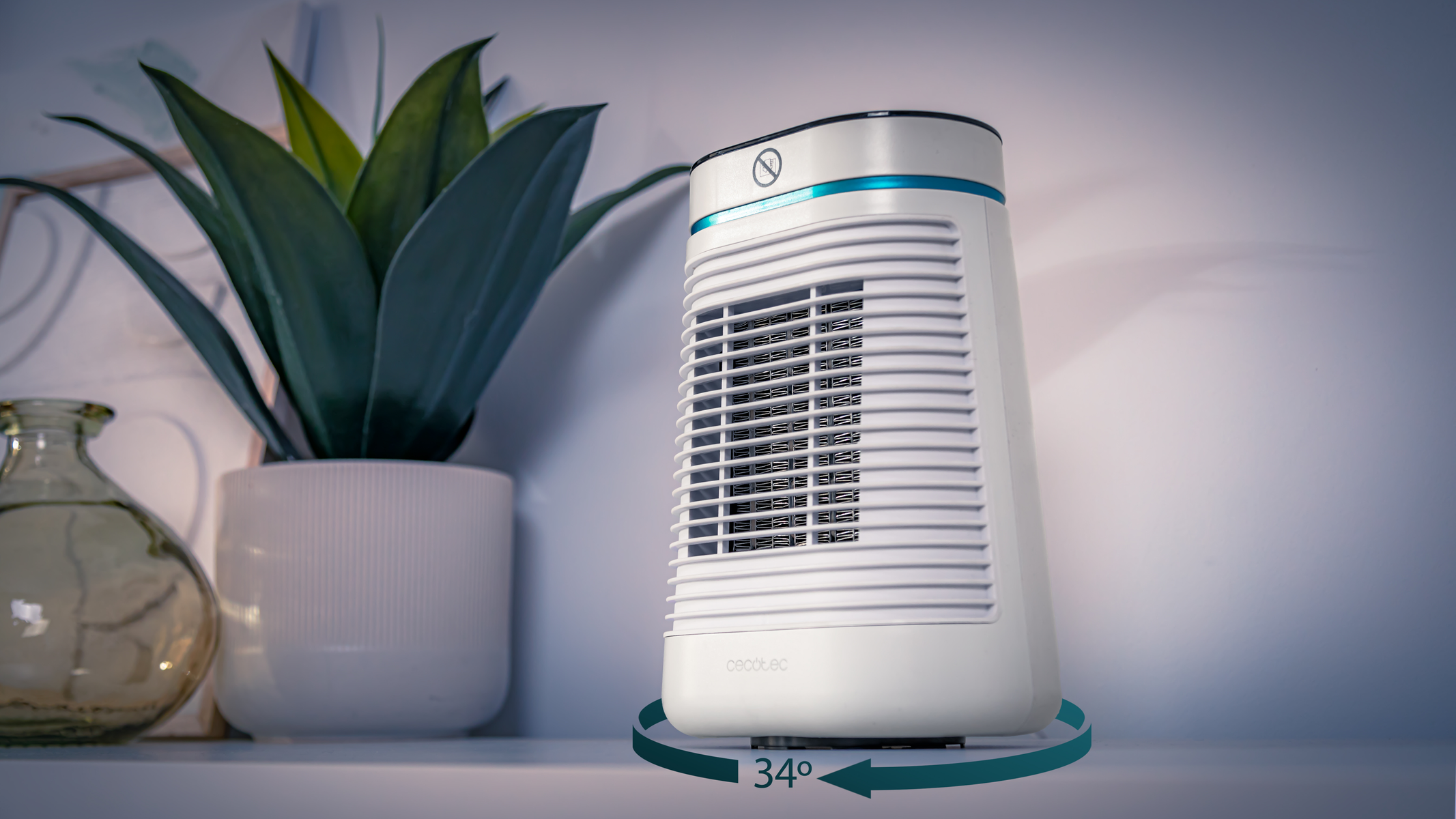 Un termoventilatore elettrico bianco e blu, con una pianta e altre decorazioni sullo sfondo.