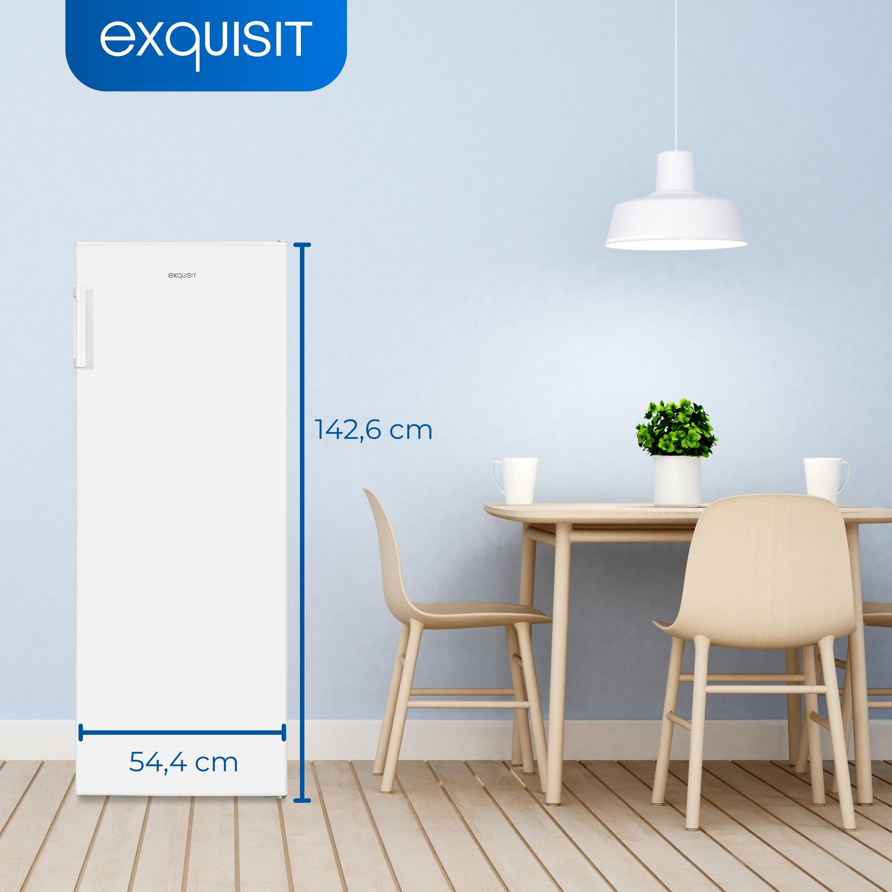 Weißer Kühlschrank mit Maßen, Tisch, Stühle, Pflanze und Hängelampe.