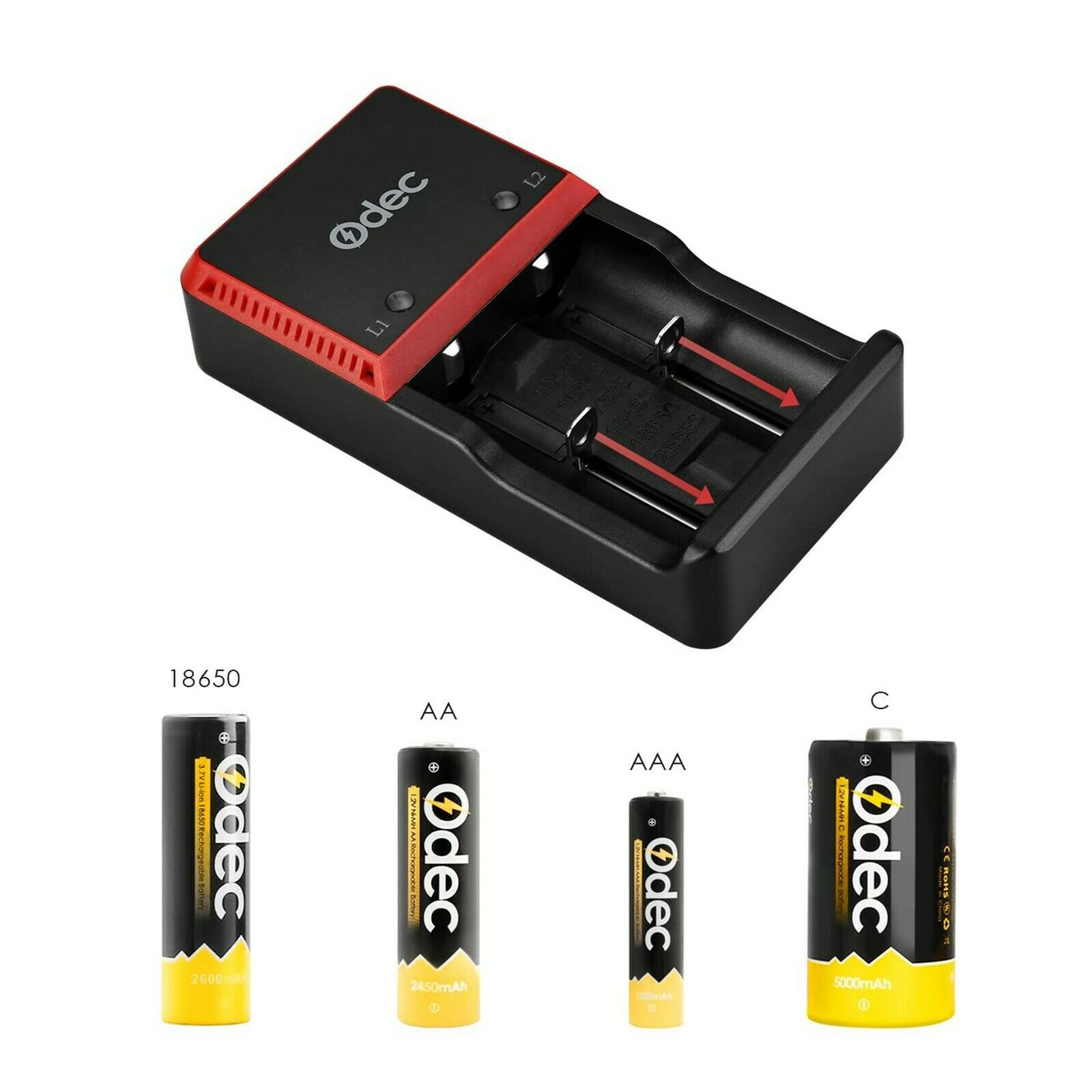 Ein Batterieladegerät mit rotem Einsatz und vier verschiedenen Batterietypen.