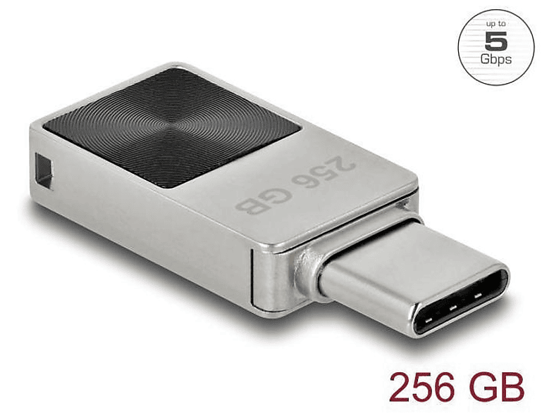 (Silber, 256 GB) 54009 Stick DELOCK USB