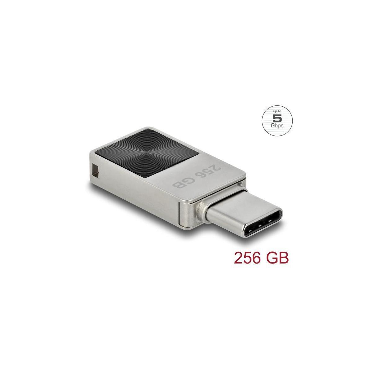 DELOCK 54009 USB Stick (Silber, 256 GB)